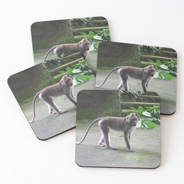 Item preview, Common Long-tailed Macaque (Macaca fascicularis ssp. fascicularis) in Ubud Bali, Indonesia designed and sold by The Botanical Jason.