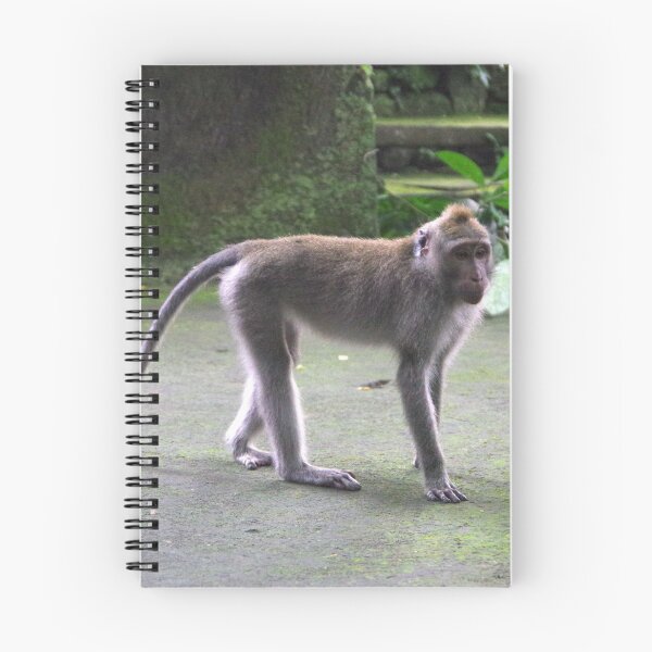 Item preview, Common Long-tailed Macaque (Macaca fascicularis ssp. fascicularis) in Ubud Bali, Indonesia designed and sold by The Botanical Jason.