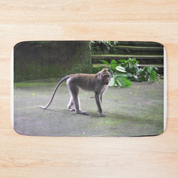 Item preview, Common Long-tailed Macaque (Macaca fascicularis ssp. fascicularis) in Ubud Bali, Indonesia designed and sold by The Botanical Jason.