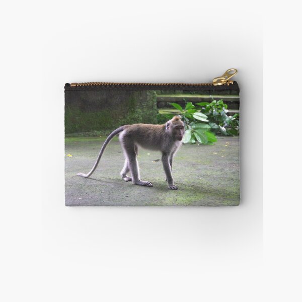 Item preview, Common Long-tailed Macaque (Macaca fascicularis ssp. fascicularis) in Ubud Bali, Indonesia designed and sold by The Botanical Jason.