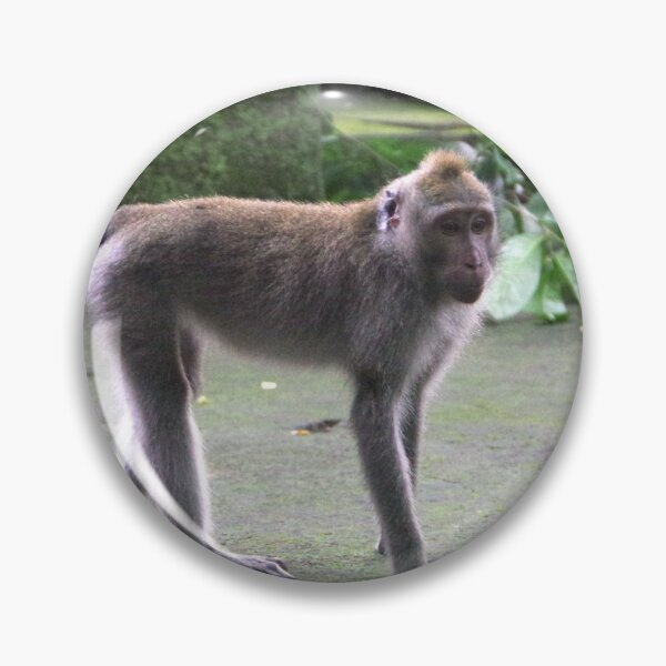 Item preview, Common Long-tailed Macaque (Macaca fascicularis ssp. fascicularis) in Ubud Bali, Indonesia designed and sold by The Botanical Jason.