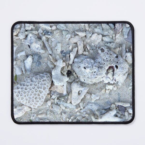 Item preview, Coral Skeletons on the Beach at Summon Island, Philippines designed and sold by The Botanical Jason.