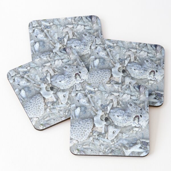 Item preview, Coral Skeletons on the Beach at Summon Island, Philippines designed and sold by The Botanical Jason.