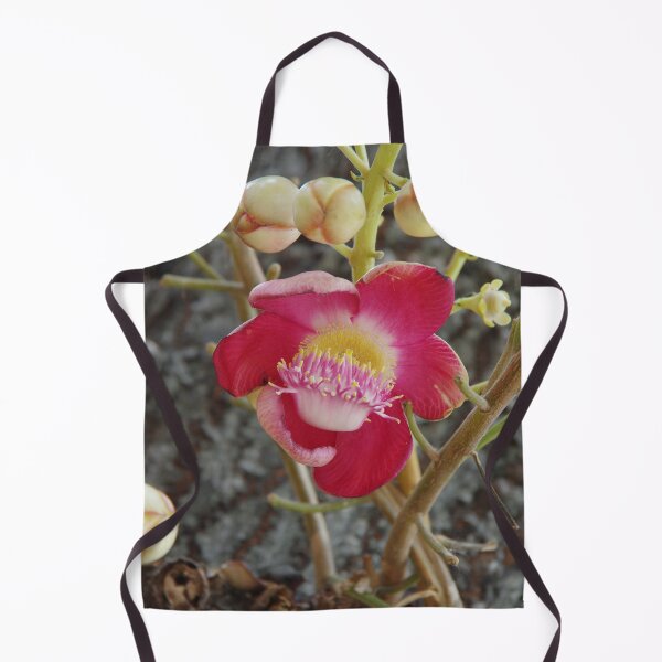 Item preview, Cannonball Tree Flower (Couroupita guianensis) Blooming in Bangkok, Thailand designed and sold by The Botanical Jason.