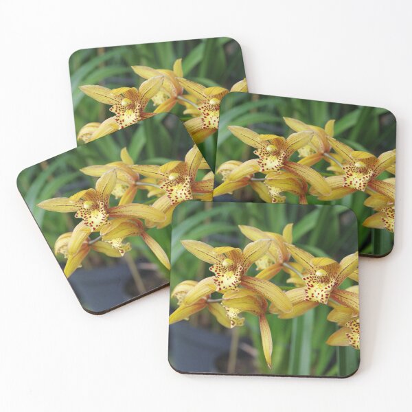 Item preview, Chen's Ruby Orchid Blooming in Bali, Indonesia designed and sold by The Botanical Jason.