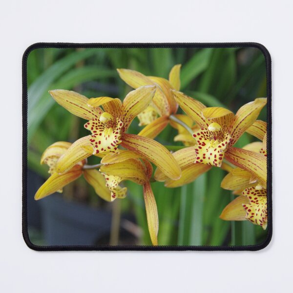 Item preview, Chen's Ruby Orchid Blooming in Bali, Indonesia designed and sold by The Botanical Jason.