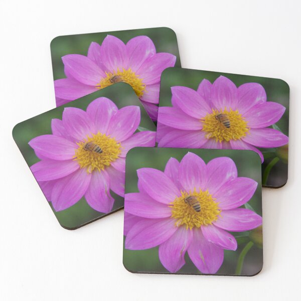 Item preview, Pink Dahlia Flower Blooming in Baguio City, Philippines designed and sold by The Botanical Jason.