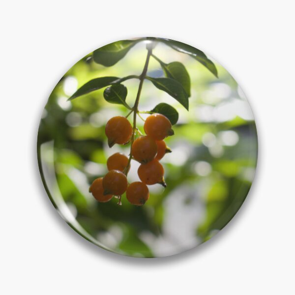 Item preview, Yellow berries designed and sold by taylaphotos.