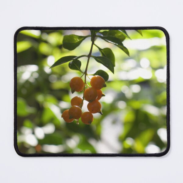 Item preview, Yellow berries designed and sold by taylaphotos.