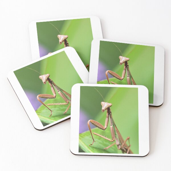 Item preview, Nature's Ninjas designed and sold by Molly62.