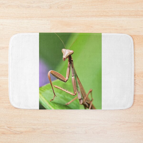 Item preview, Nature's Ninjas designed and sold by Molly62.