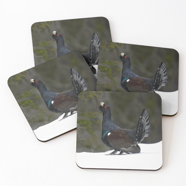 Item preview, The Capercaillie designed and sold by Tom McPherson Photography.