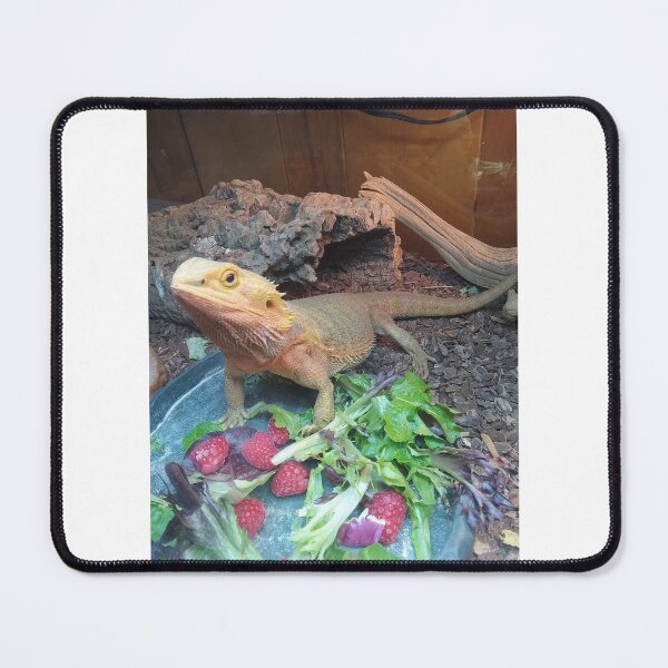 Item preview, pogona designed and sold by touz22.