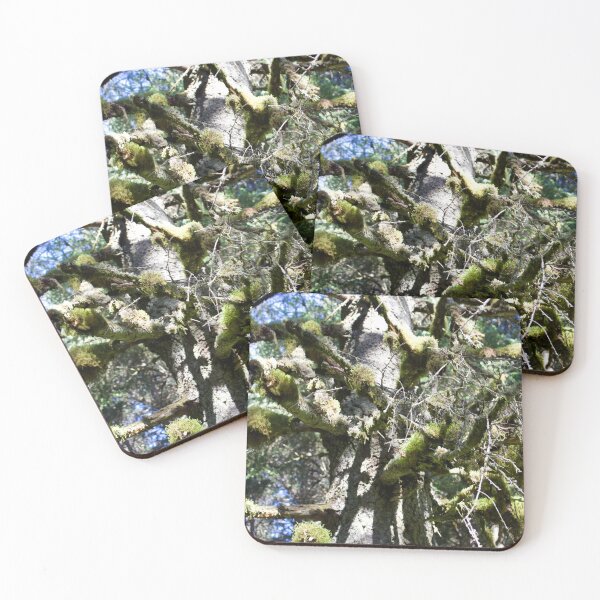 Item preview, Moss covered tree, alaska designed and sold by taylaphotos.
