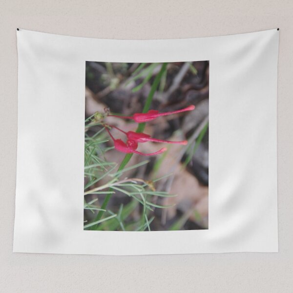 Item preview, Grevillea wilsonii designed and sold by lezvee.
