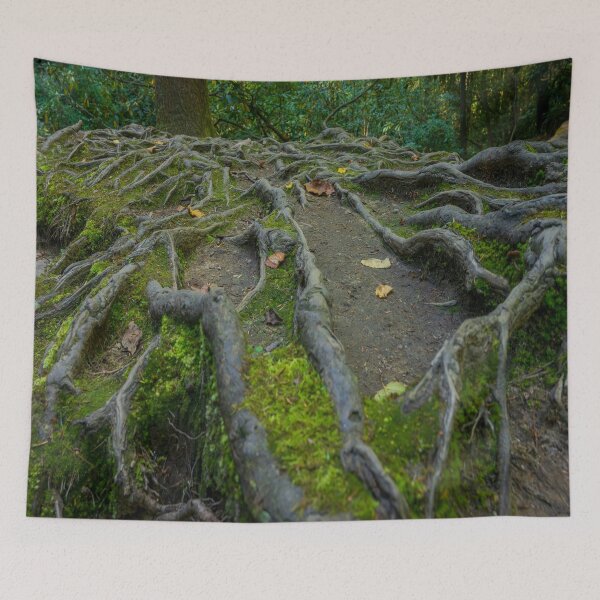 Item preview, Roots of the Forest designed and sold by Craig Kauzmann.