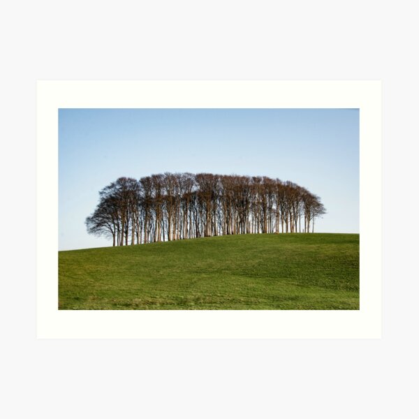 Nearly Home Trees, Coming home trees, Cornwall trees Cookworthy Knapp Cornwall,Trees at the top of the hill Art Print