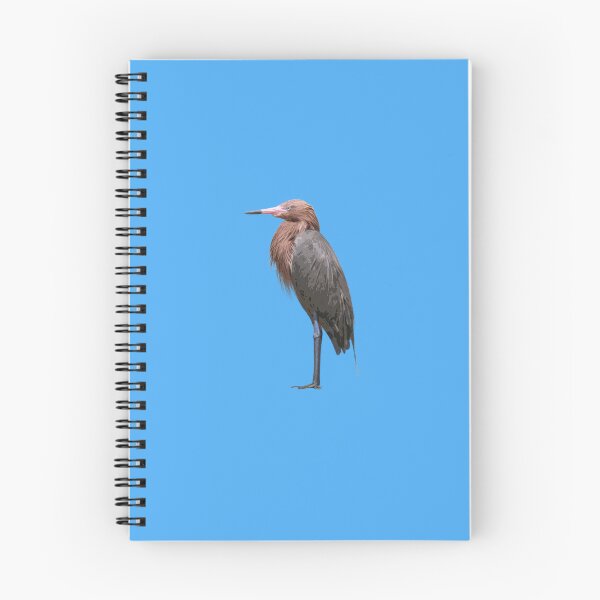 Item preview, Reddish Egret Color Design  designed and sold by designsasstultd.