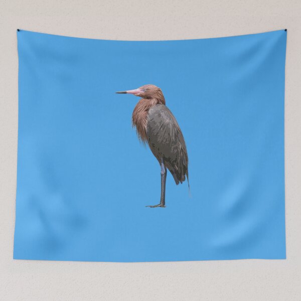 Item preview, Reddish Egret Color Design  designed and sold by designsasstultd.