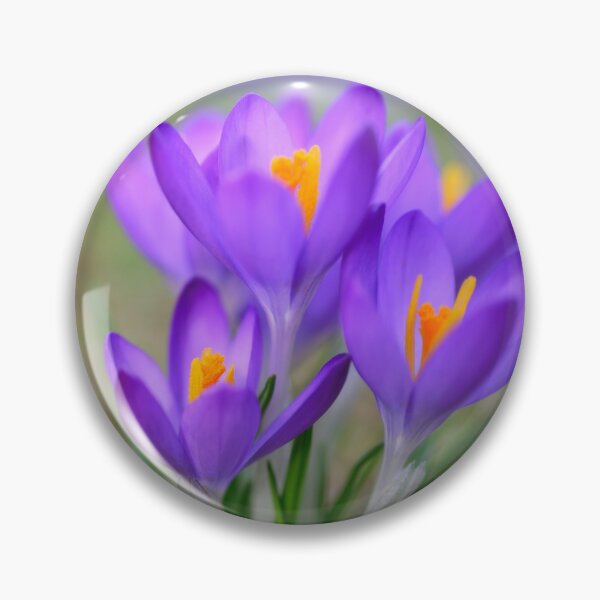Item preview, Dainty Woodland Crocus designed and sold by Kasia Design.
