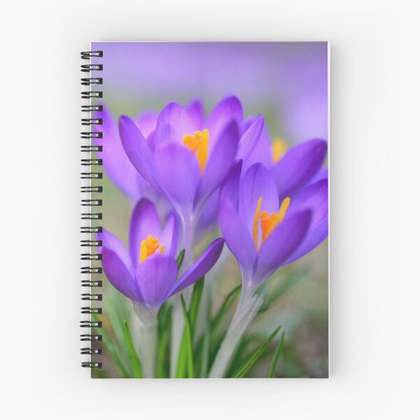 Item preview, Dainty Woodland Crocus designed and sold by Kasia Design.