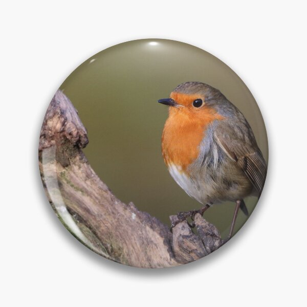 Item preview, Robin on a Log designed and sold by Dorothy Thomson.