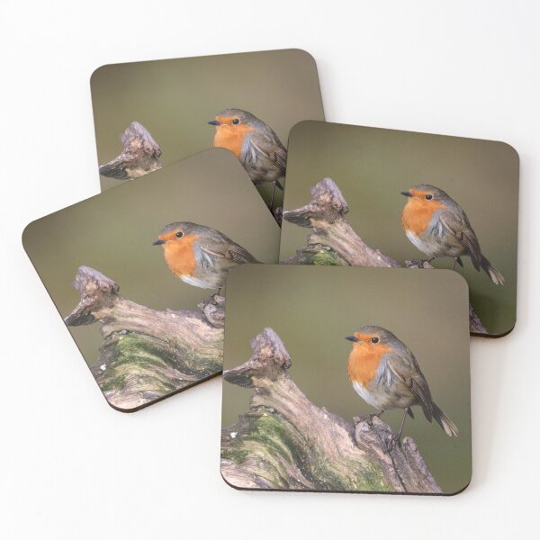Item preview, Robin on a Log designed and sold by Dorothy Thomson.