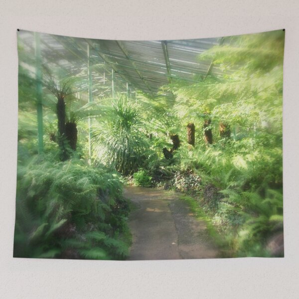 Item preview, Ferns inside a hot House designed and sold by cjcphotography.