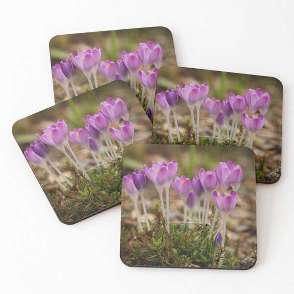 Item preview, Spring flowers crocuses designed and sold by imerxh.