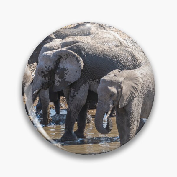 Item preview, Namibia. Etosha National Park. Elephants at a Waterhole.  designed and sold by vadim19.