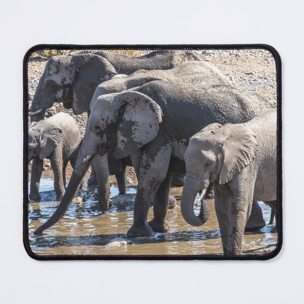 Item preview, Namibia. Etosha National Park. Elephants at a Waterhole.  designed and sold by vadim19.