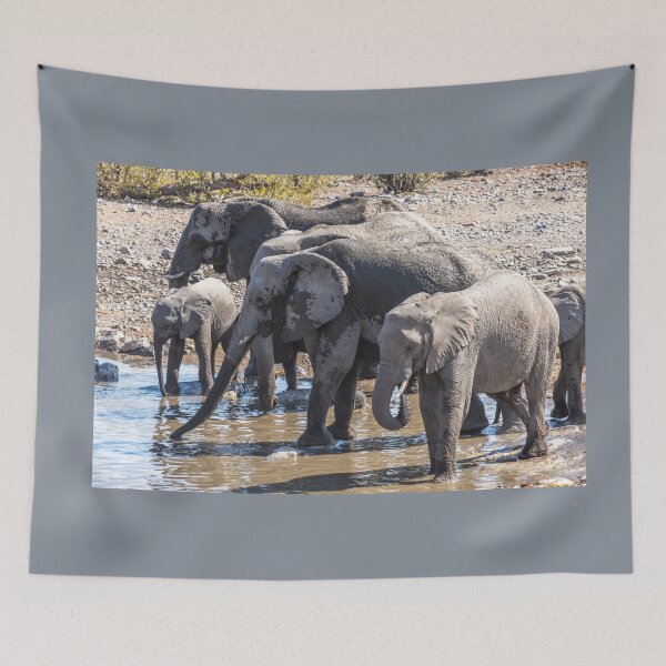 Item preview, Namibia. Etosha National Park. Elephants at a Waterhole.  designed and sold by vadim19.