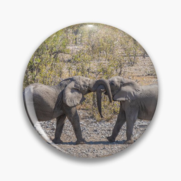 Item preview, Namibia. Etosha National Park. Young Elephants Fighting.  designed and sold by vadim19.