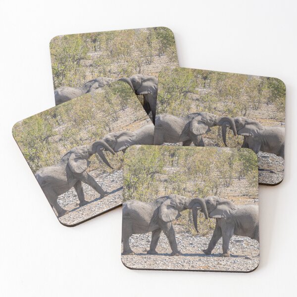 Item preview, Namibia. Etosha National Park. Young Elephants Fighting.  designed and sold by vadim19.