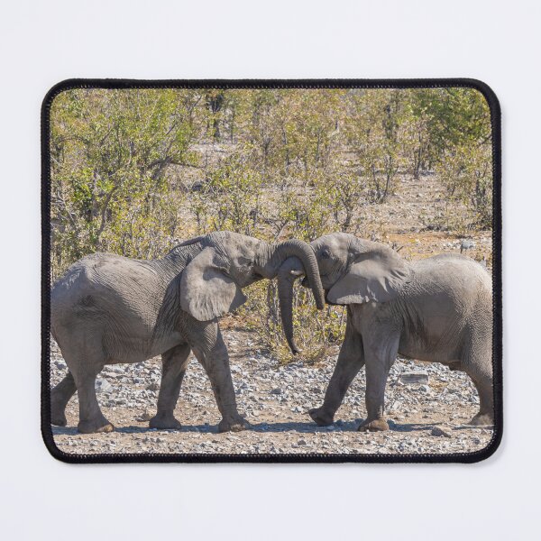 Item preview, Namibia. Etosha National Park. Young Elephants Fighting.  designed and sold by vadim19.