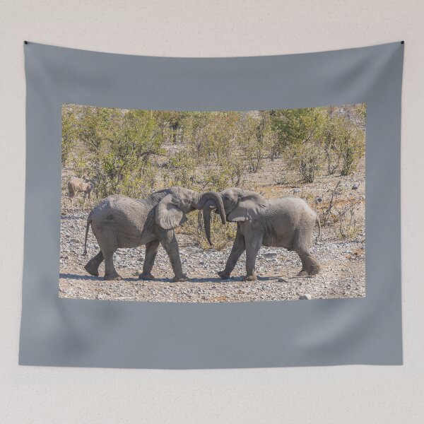 Item preview, Namibia. Etosha National Park. Young Elephants Fighting.  designed and sold by vadim19.