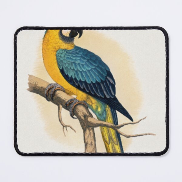 Item preview, Blue and Yellow Macaw designed and sold by blagojewic-I.