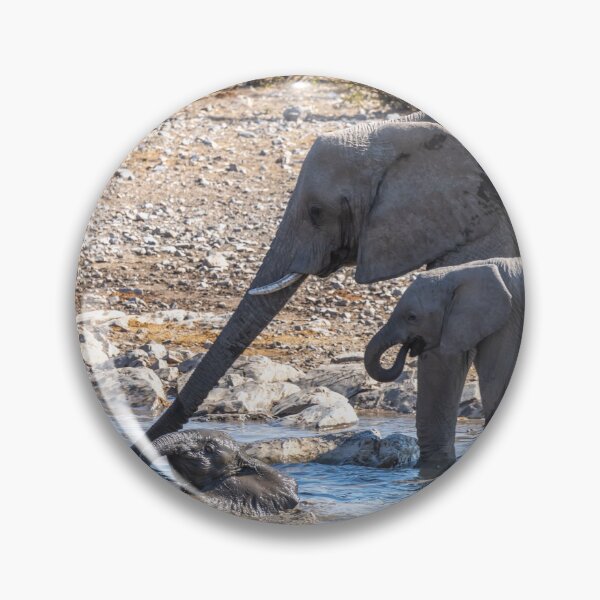 Item preview, Namibia. Etosha National Park. Baby Elephant Having Fun in the Water.  designed and sold by vadim19.