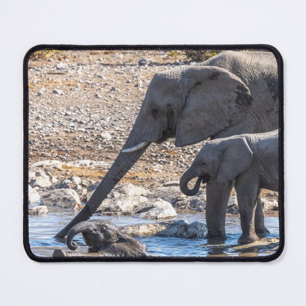 Item preview, Namibia. Etosha National Park. Baby Elephant Having Fun in the Water.  designed and sold by vadim19.