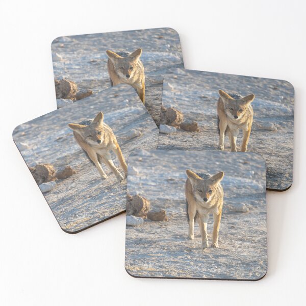 Item preview, Namibia. Etosha National Park. Jackal.  designed and sold by vadim19.