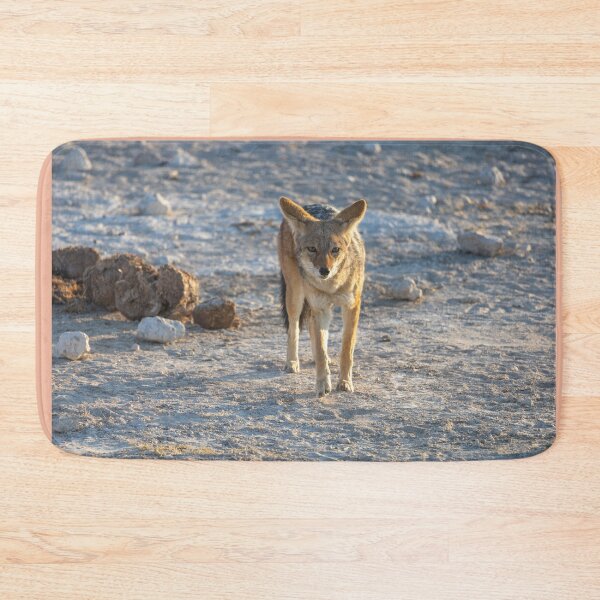 Item preview, Namibia. Etosha National Park. Jackal.  designed and sold by vadim19.