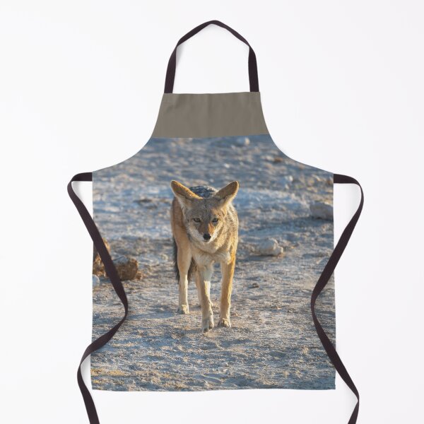 Item preview, Namibia. Etosha National Park. Jackal. designed and sold by vadim19.