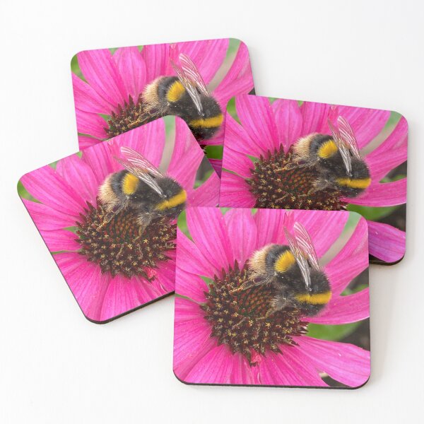Item preview,  Bumble On Echinacea  designed and sold by Debbee75.