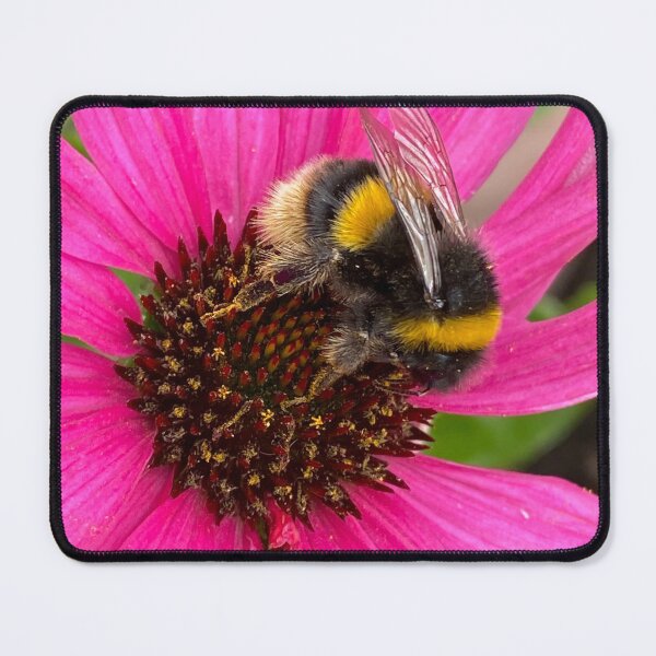 Item preview,  Bumble On Echinacea  designed and sold by Debbee75.