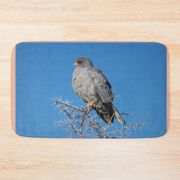 Item preview, Namibia. Etosha National Park. Gabar Goshawk.  designed and sold by vadim19.