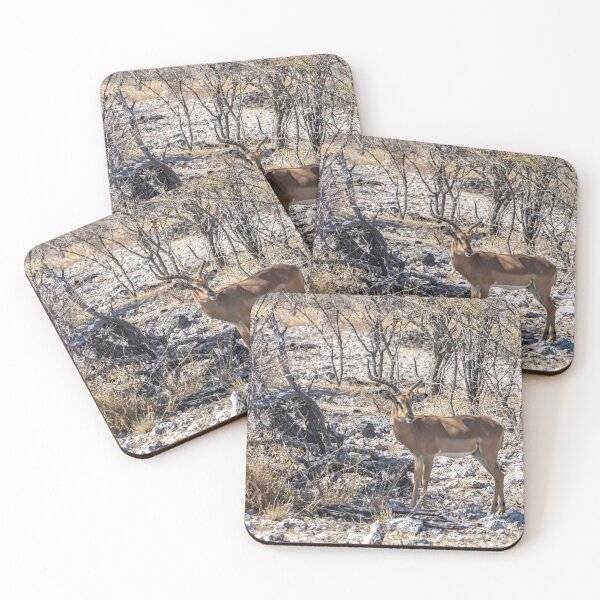 Item preview, Namibia. Etosha National Park. Impala in the Bush.  designed and sold by vadim19.
