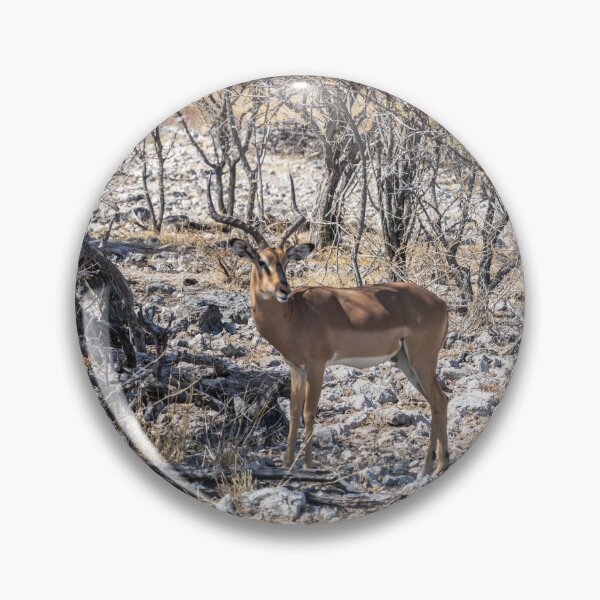 Item preview, Namibia. Etosha National Park. Impala in the Bush.  designed and sold by vadim19.