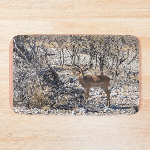 Item preview, Namibia. Etosha National Park. Impala in the Bush.  designed and sold by vadim19.