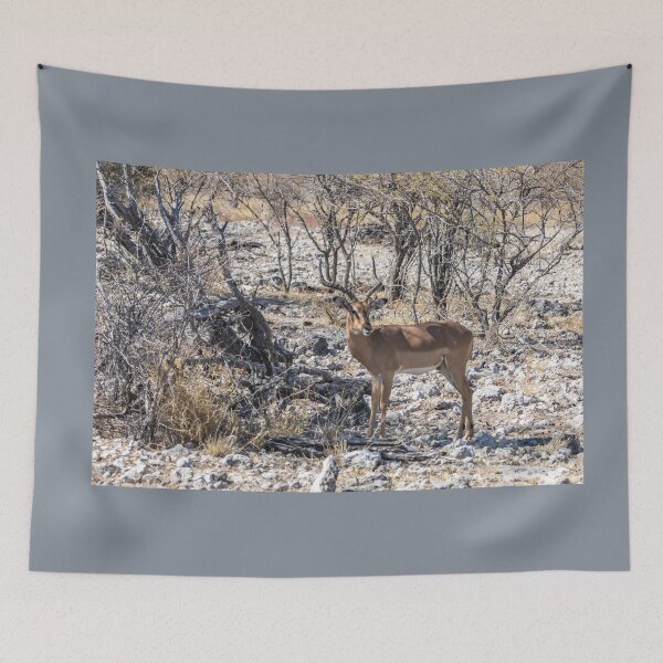 Item preview, Namibia. Etosha National Park. Impala in the Bush.  designed and sold by vadim19.