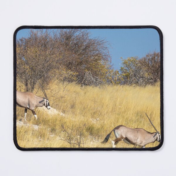 Item preview, Namibia. Etosha National Park. Oryxes in the Savannah. designed and sold by vadim19.